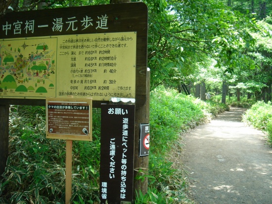 DSC04233.jpg