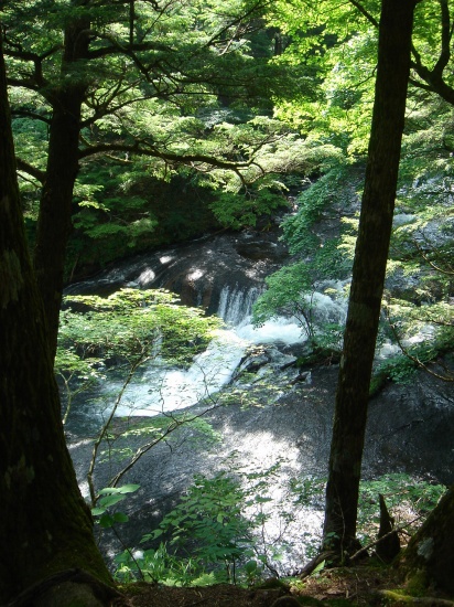 DSC04262.jpg