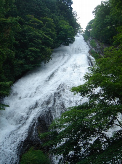 DSC04266.jpg
