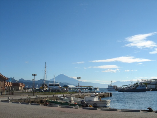 DSC04410.jpg