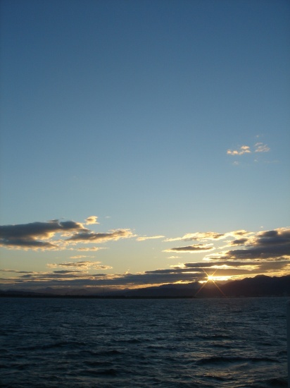 DSC04441.jpg