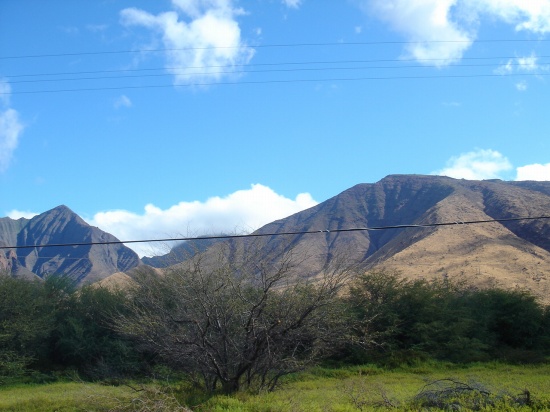 DSC04708.jpg